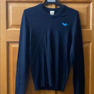 Hollister Long-Sleeve Sweater